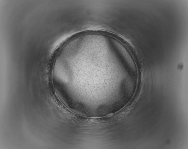 X0000113631311200910021843