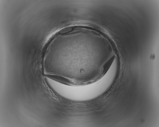 X0000113631312200910021843