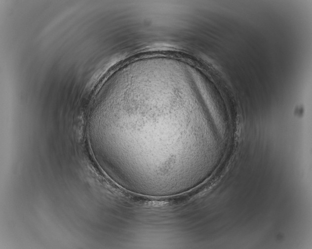 X0000113631313200910021843