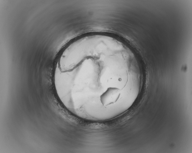 X0000113631314200910021843