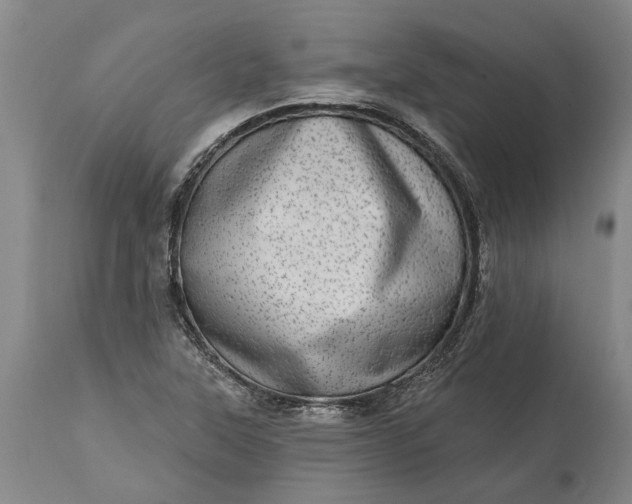 X0000113631315200910021843