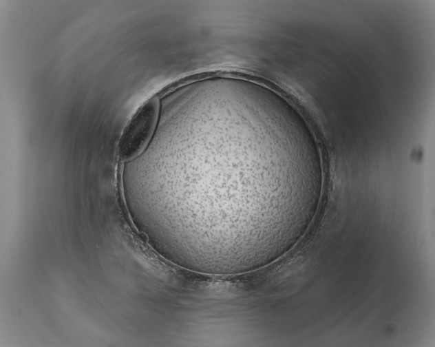 X0000113631316200910021843