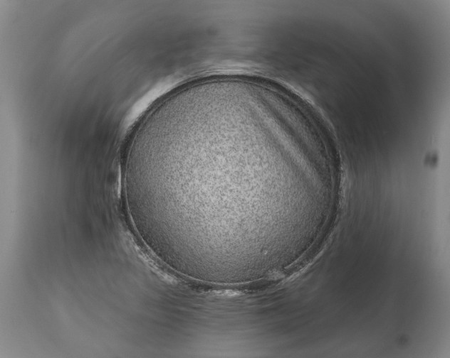 X0000113631317200910021843