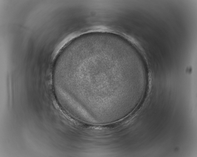 X0000113631318200910021843