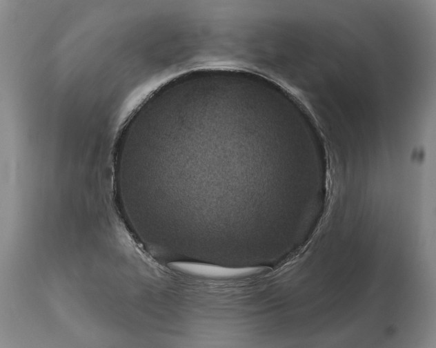 X0000113631319200910021843