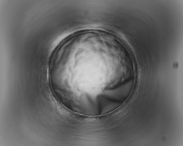 X0000113631320200910021843