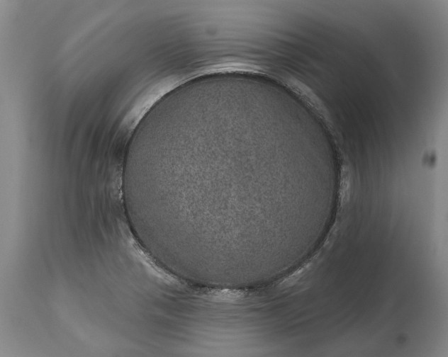X0000113631321200910021843