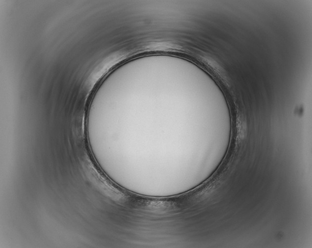 X0000113631322200910021843