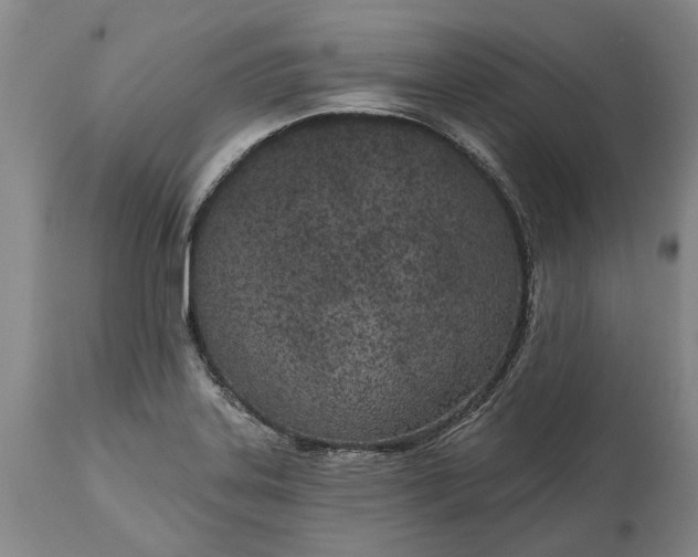 X0000113631323200910021843