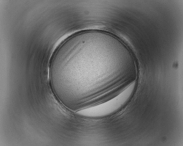 X0000113631324200910021843