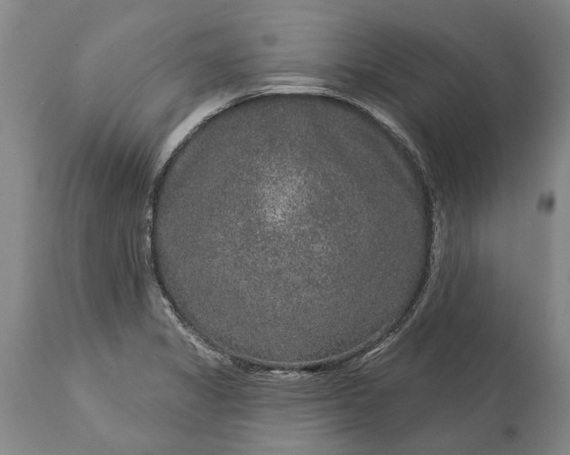 X0000113631325200910021843