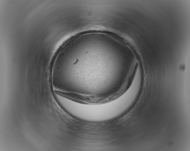 X0000113631326200910021843