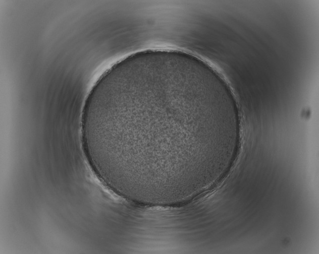 X0000113631327200910021843