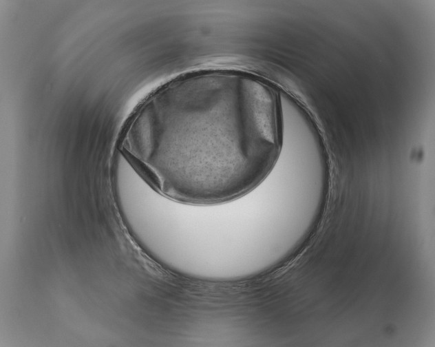 X0000113631328200910021843