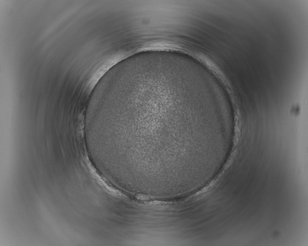 X0000113631329200910021843