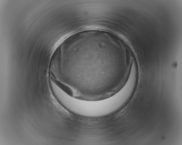 X0000113631330200910021843