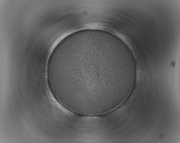 X0000113631331200910021843
