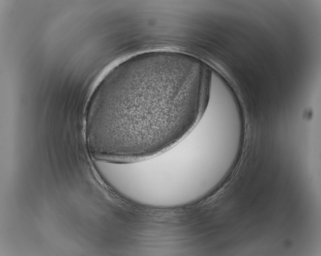 X0000113631332200910021843