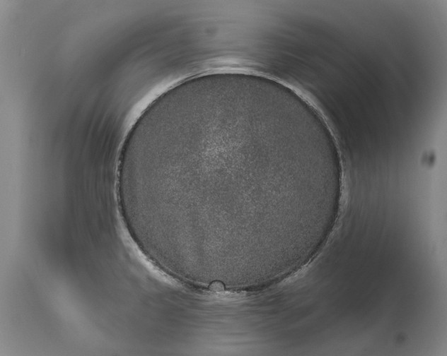 X0000113631333200910021843