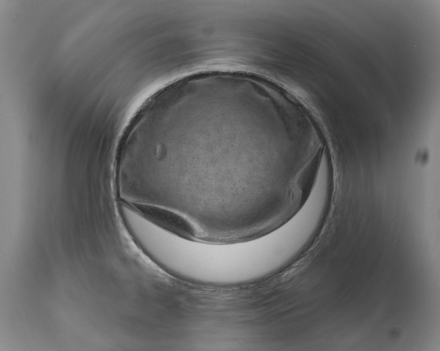 X0000113631334200910021843