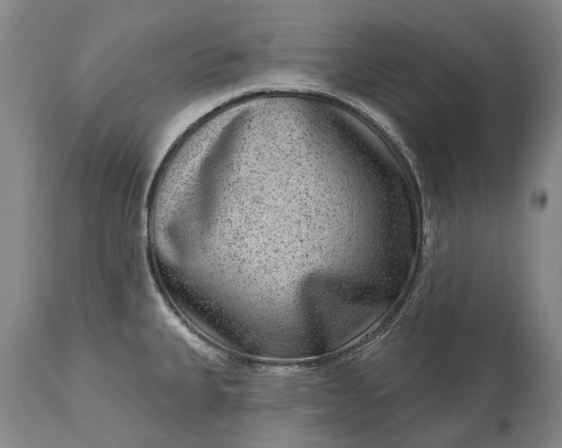 X0000113631335200910021843