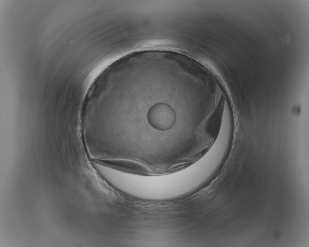 X0000113631336200910021843