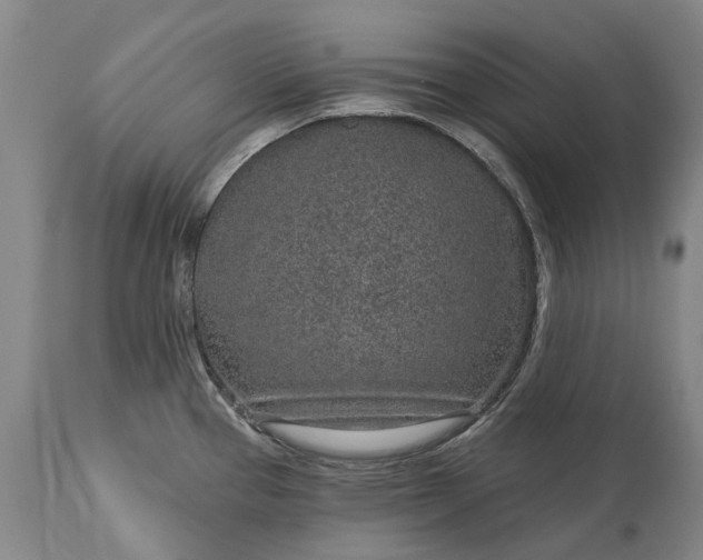 X0000113631337200910021843