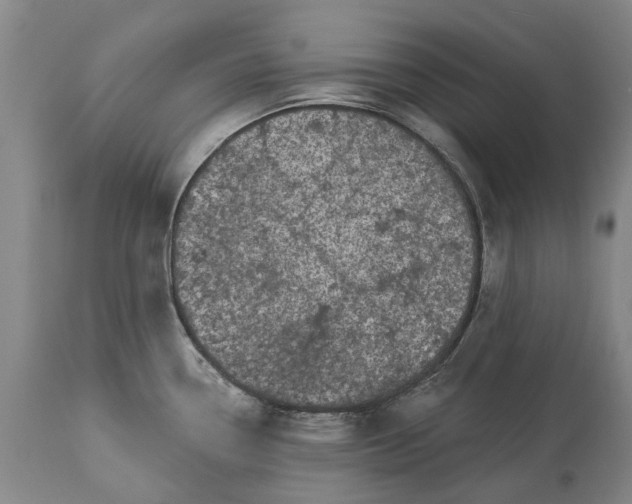 X0000113631338200910021843