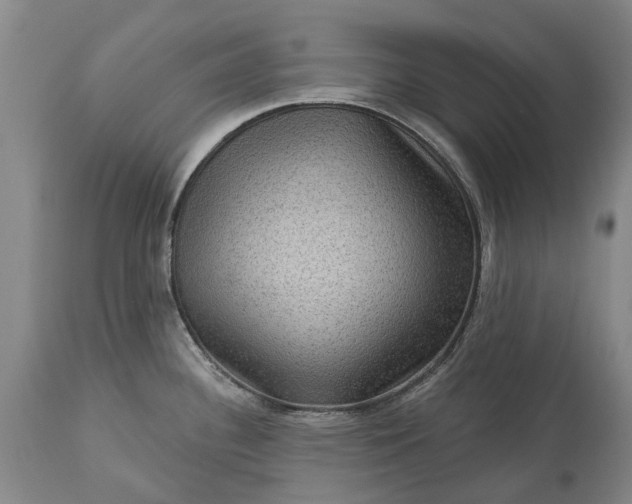 X0000113631340200910021843