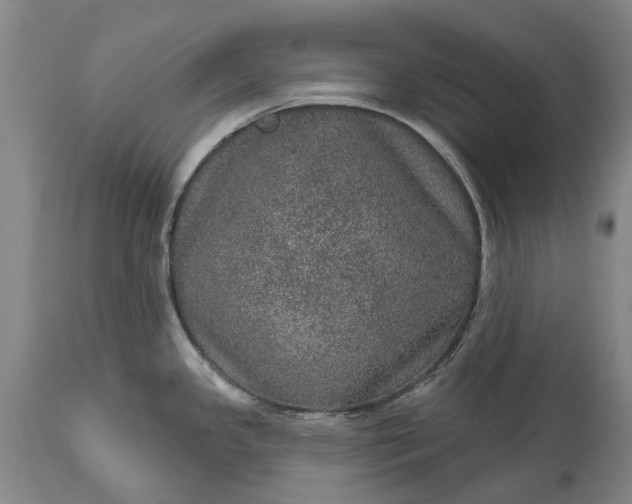 X0000113631341200910021843