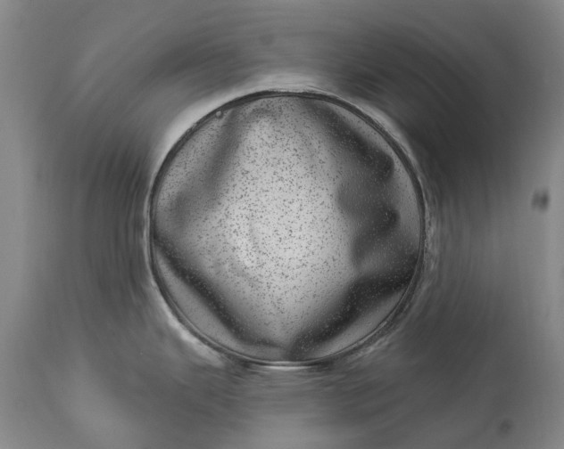 X0000113631343200910021843