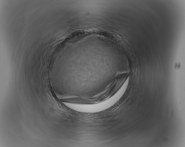 X0000113631345200910021842