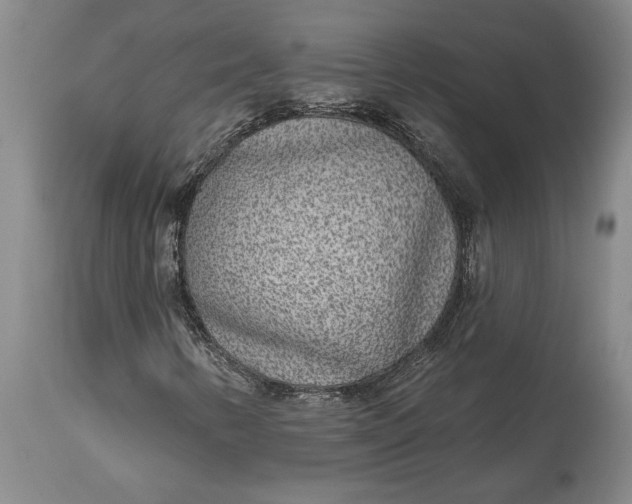 X0000113631346200910021842