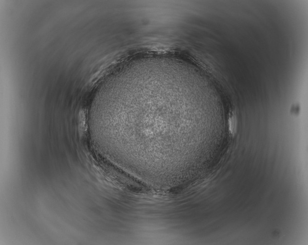 X0000113631347200910021842