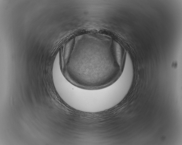 X0000113631348200910021842