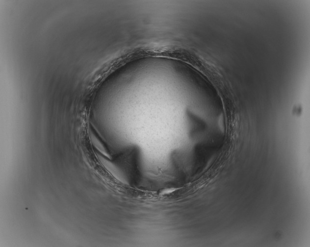 X0000113631349200910021842