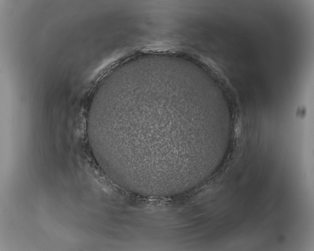 X0000113631350200910021842
