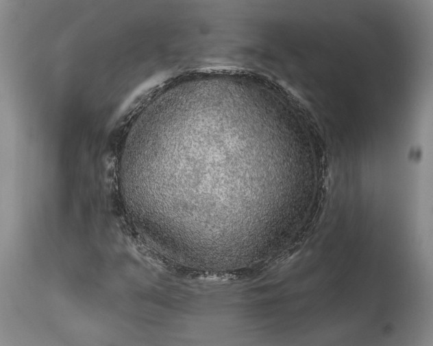 X0000113631351200910021842