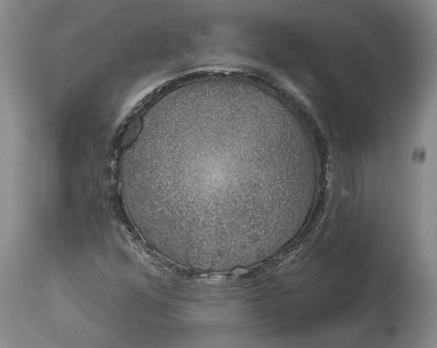 X0000113631352200910021842