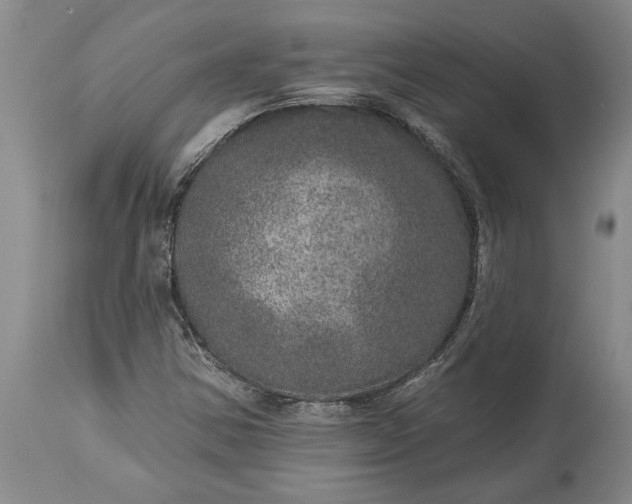 X0000113631354200910021842
