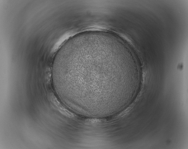 X0000113631355200910021842