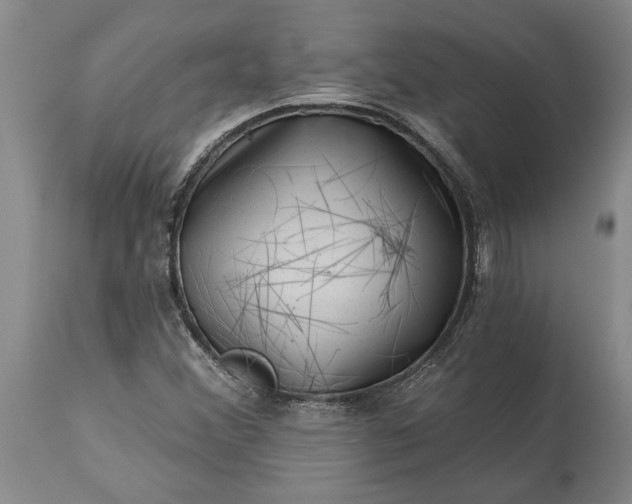 X0000113631356200910021842