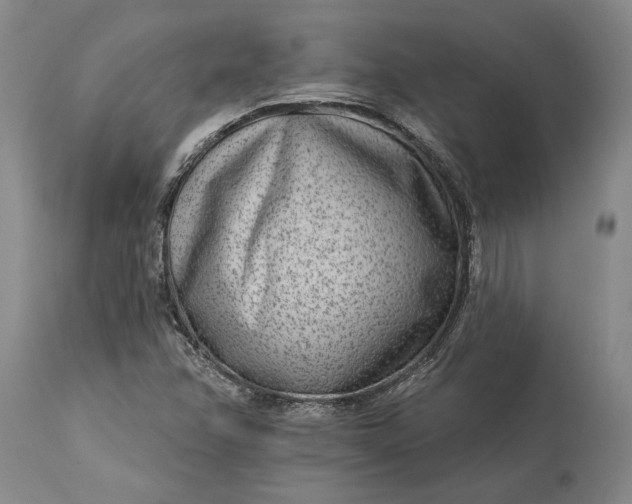 X0000113631358200910021842