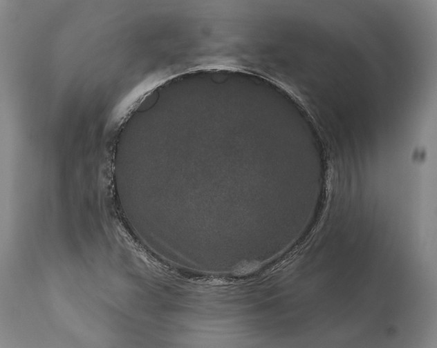 X0000113631359200910021842