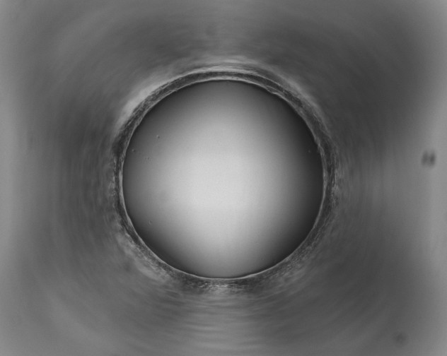 X0000113631360200910021842