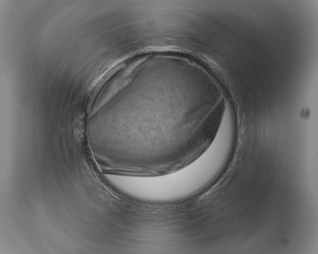 X0000113631361200910021842