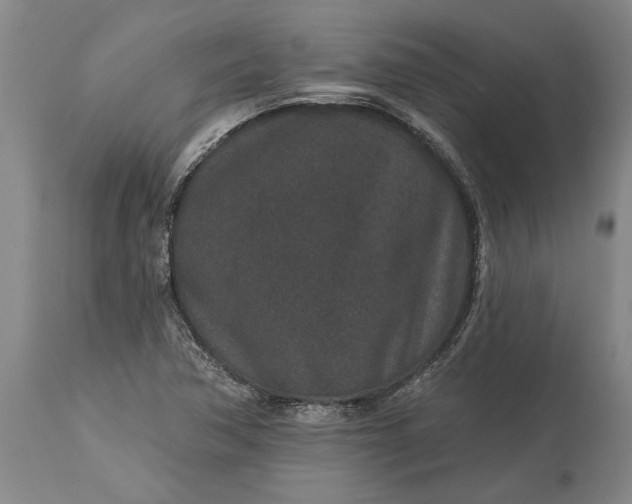 X0000113631362200910021842