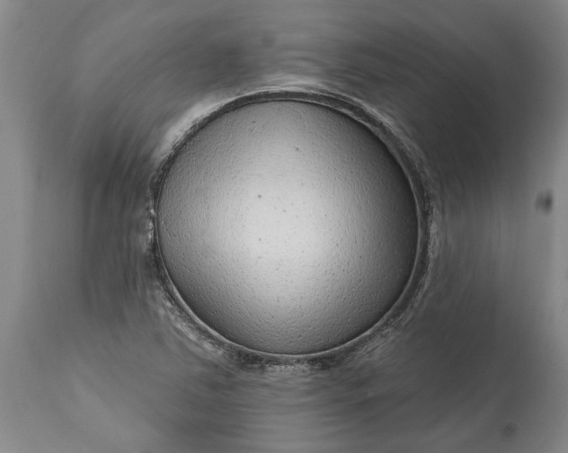 X0000113631363200910021842