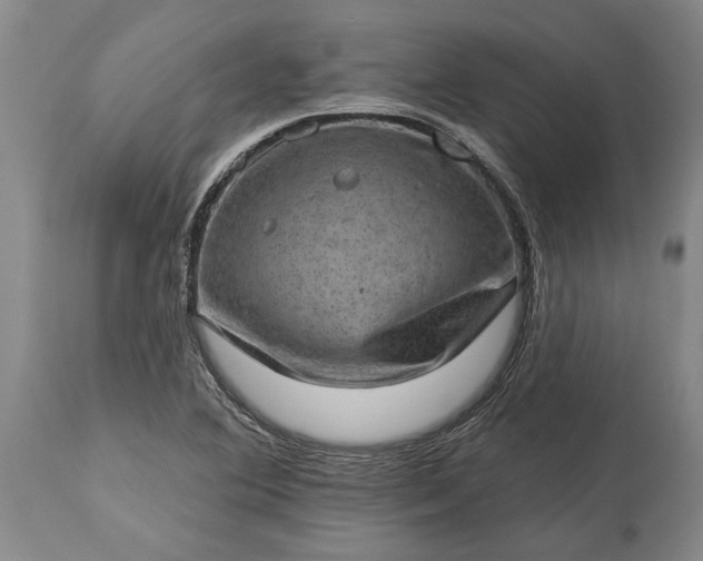 X0000113631364200910021842