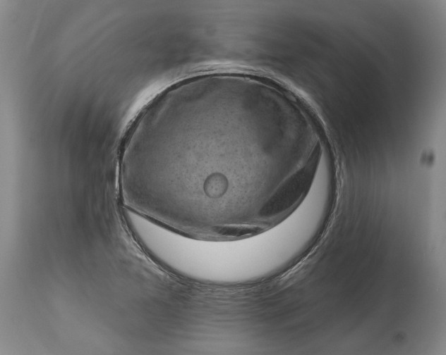 X0000113631365200910021842